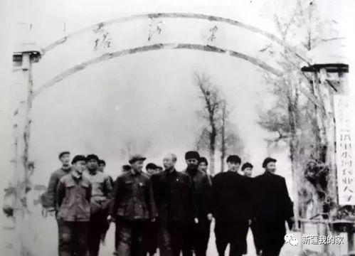 塔里木大学爆料新闻最新,揭秘校园重大事件背后的真相  第2张